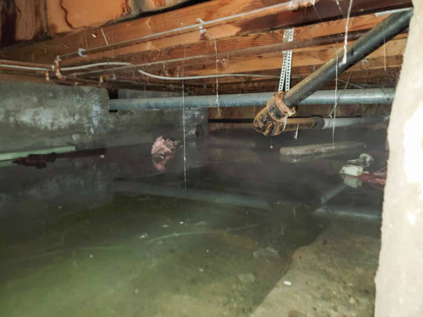 Best Water damage restoration near me  in Avon, OH