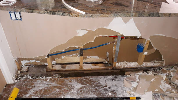 Best Water damage contractors near me  in Avon, OH