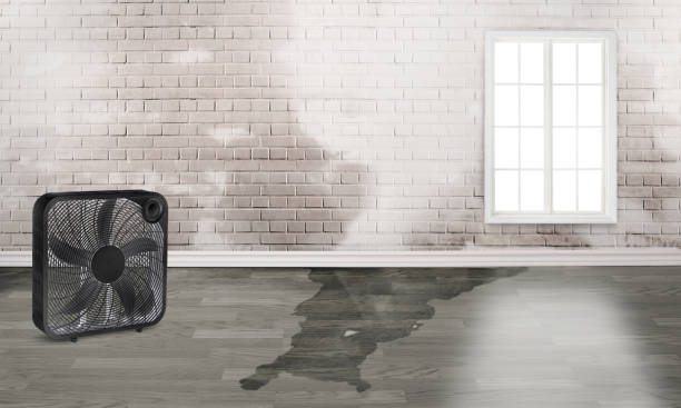 Best Flooded house restoration  in Avon, OH