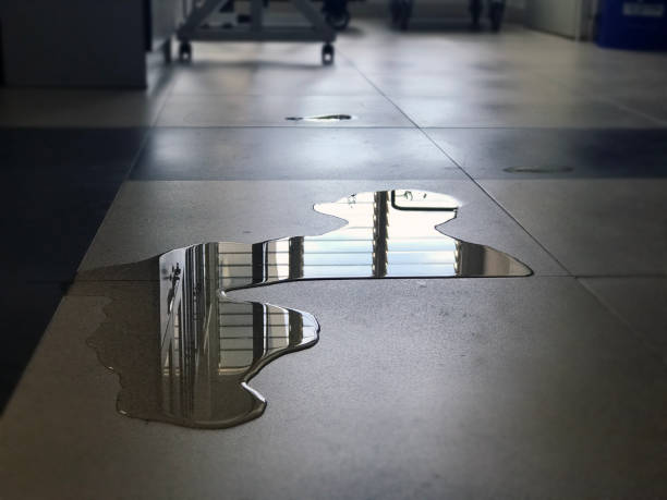 Best Commercial water damage restoration  in Avon, OH