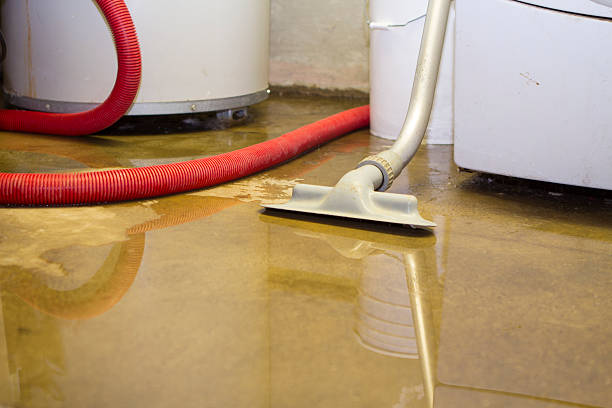 Best Water damage cleanup near me  in Avon, OH