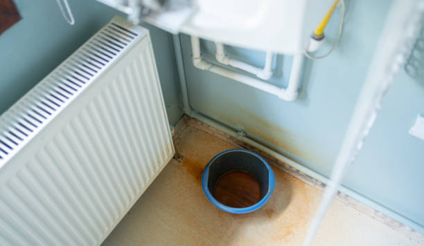 Best Water damage restoration mold remediation  in Avon, OH