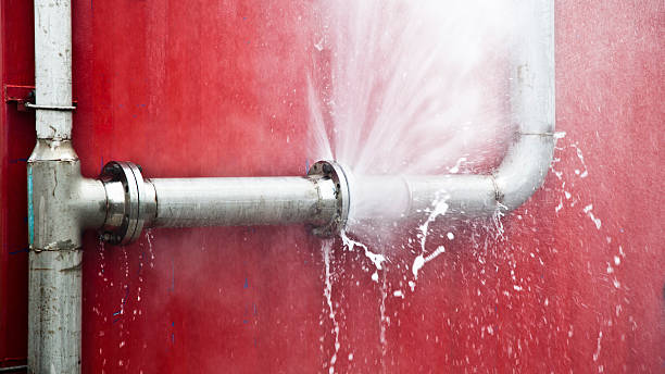 Best Professional water damage repair  in Avon, OH