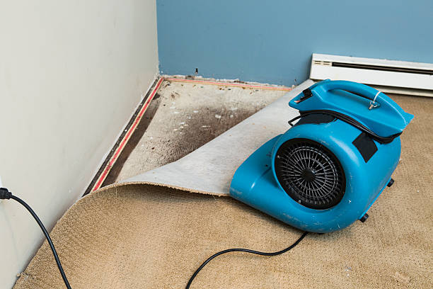 Best Water damage restoration cost  in Avon, OH
